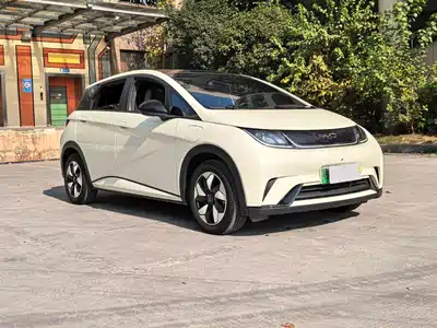 BYD Dolphin 2024