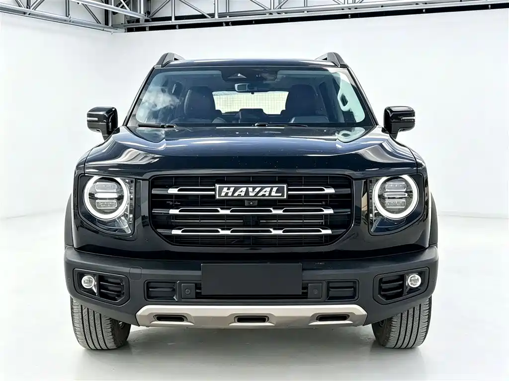 Haval Big Dog 2021 — фото 3