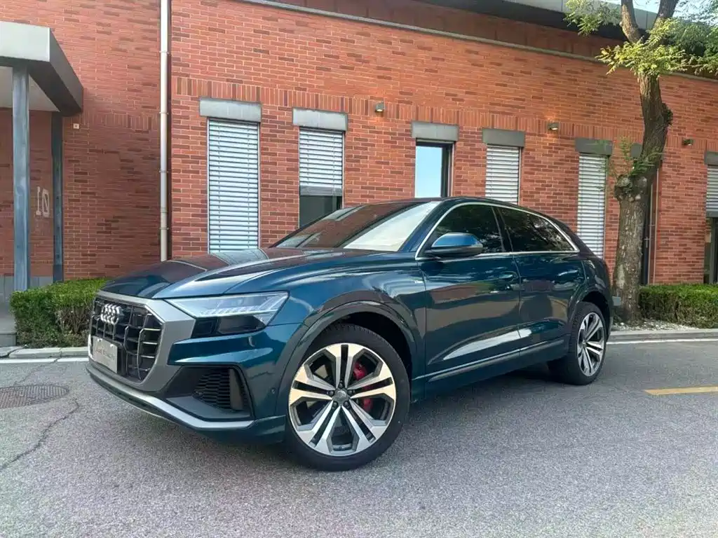 Audi Q8 2020 — фото 1