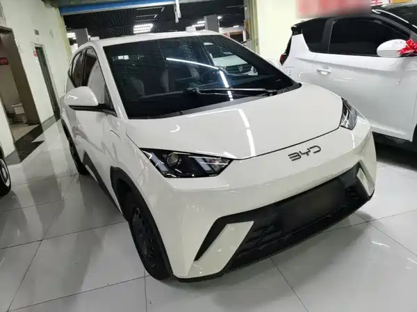 BYD Seagull 2024