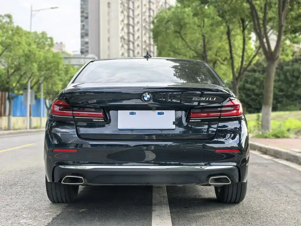 BMW 5 Series 2021