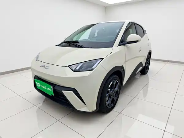BYD Seagull 2025