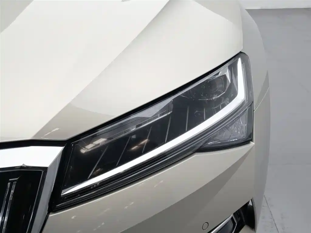 Skoda Speedy 2021