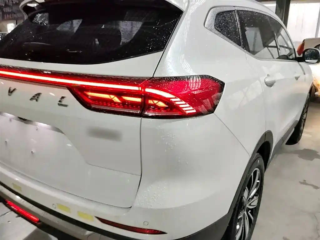 Haval H6 2021 — фото 8