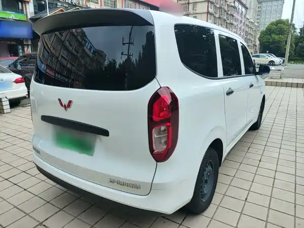Wuling Hongguang New Energy 2025