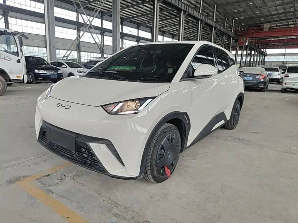 BYD Seagull 2025