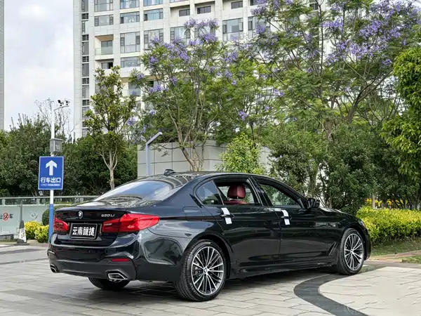BMW 5 Series 2019