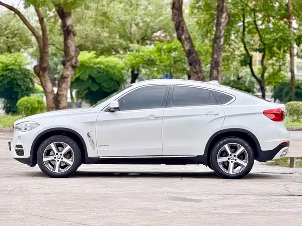 BMW X6 2015