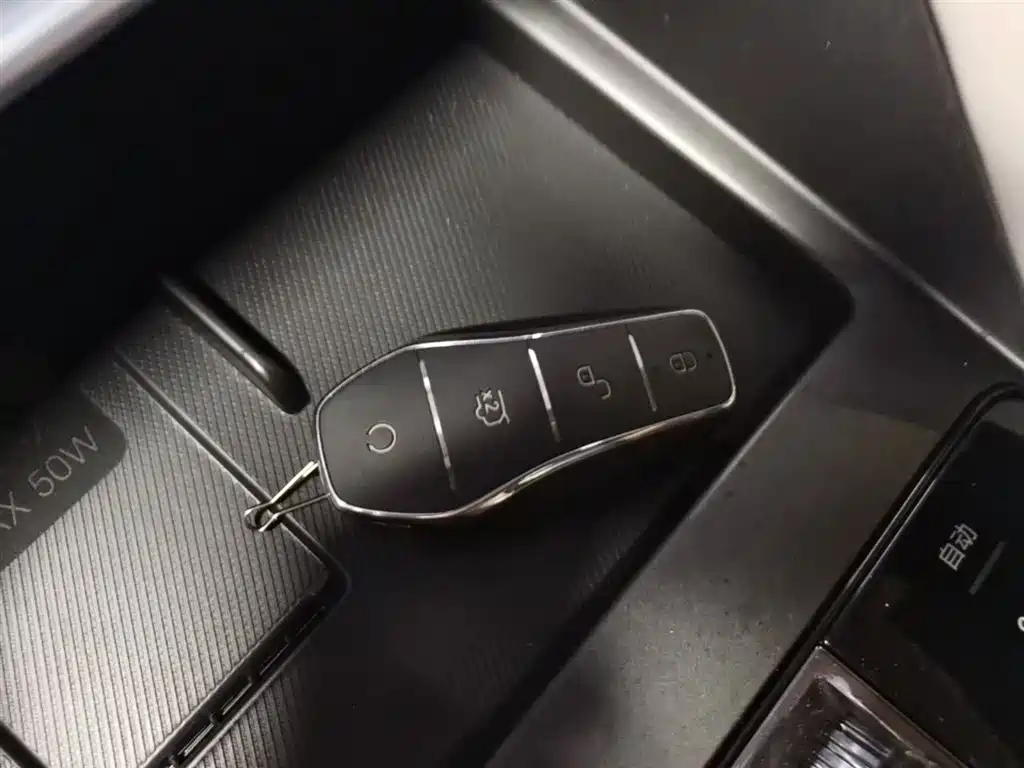 BYD Song PLUS New Energy 2025 — фото 9