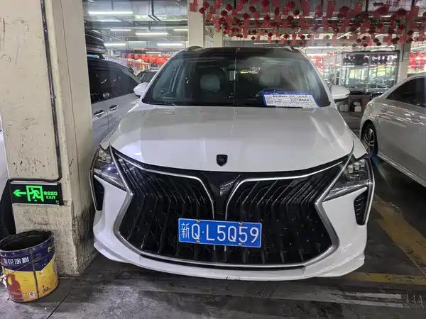 Dongfeng Forthing Yacht 2023