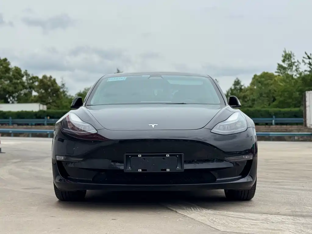 Tesla Model 3 2023 — фото 2