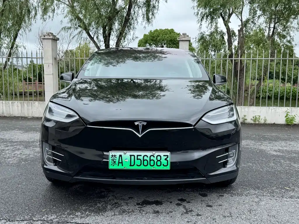 Tesla Model X 2019