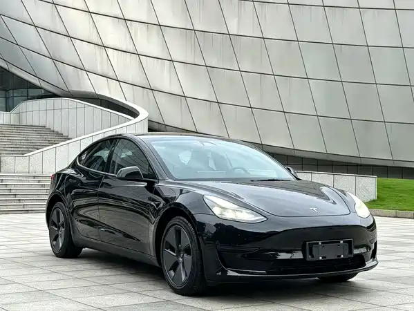 Tesla Model 3 2020