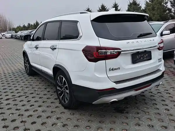 Dongfeng Fengxing T5L 2019