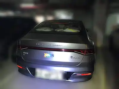 BYD Qin PLUS 2024