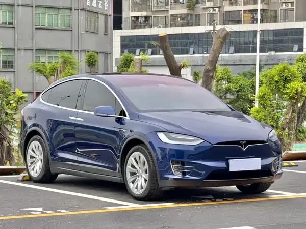 Tesla Model X 2019