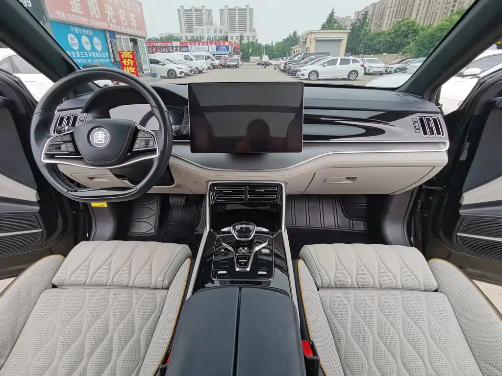 BYD Tang New Energy 2023 — фото 10