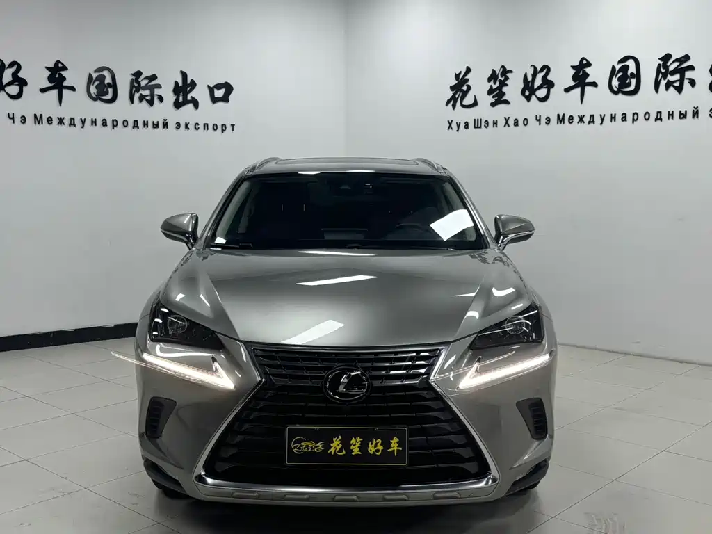 Lexus NX 2020 — фото 2