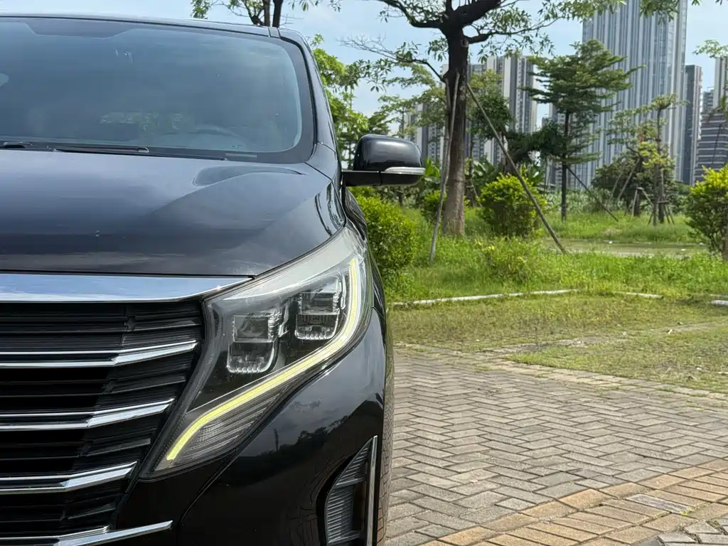GAC Motor Trumpchi M8 2021 — фото 20