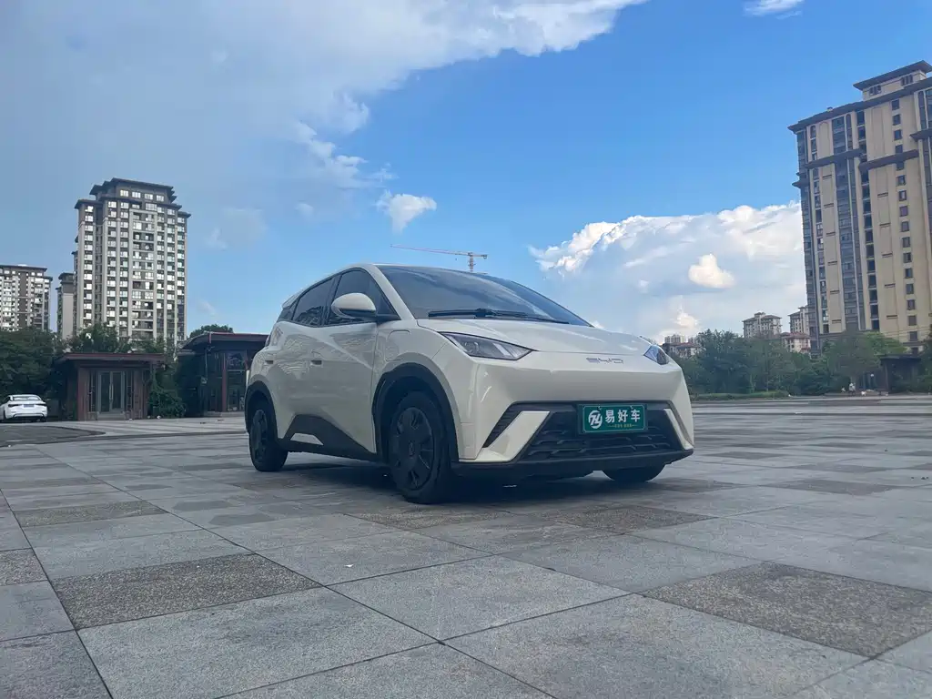 BYD Seagull 2024