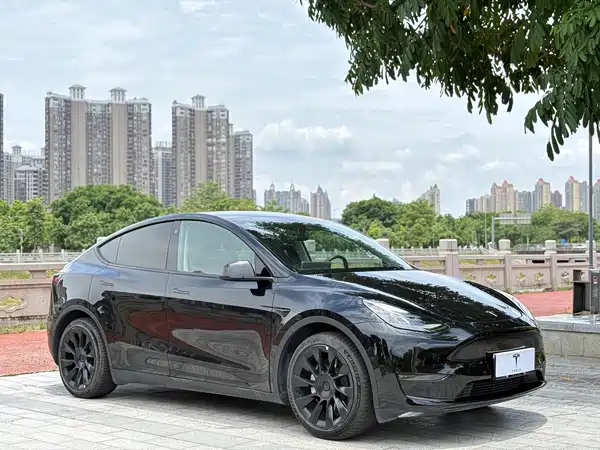 Tesla Model Y 2021