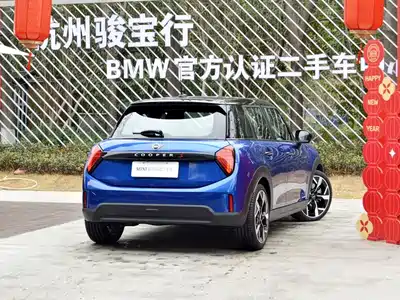 MINI MINI 2025