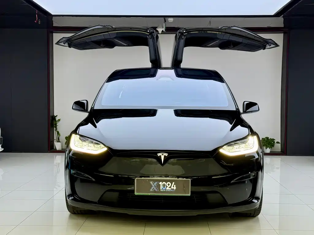 Tesla Model X 2023 — фото 2