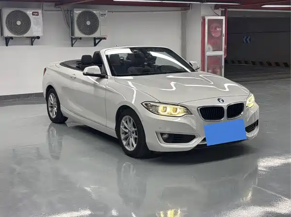 BMW 2 Series 2017