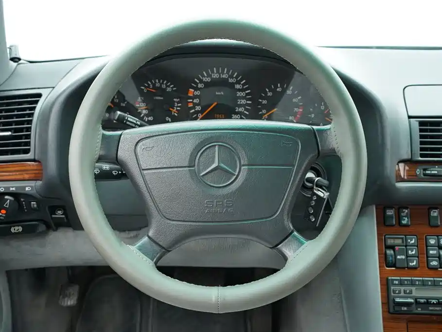 Mercedes-Benz S-Class 1998 — фото 16