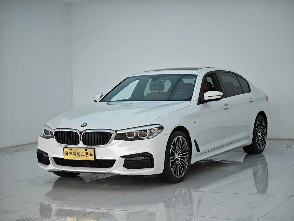 BMW 5 Series 2019 — фото 1