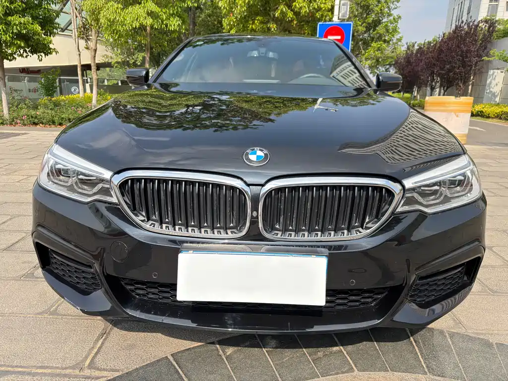 BMW 5 Series 2019 — фото 12