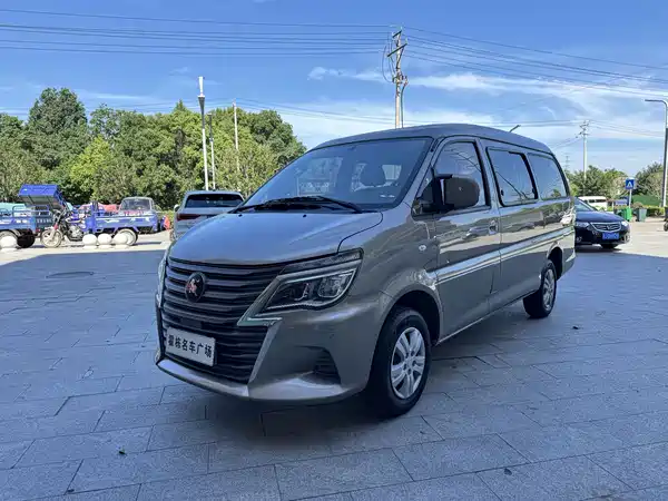 Dongfeng Lingzhi 2024