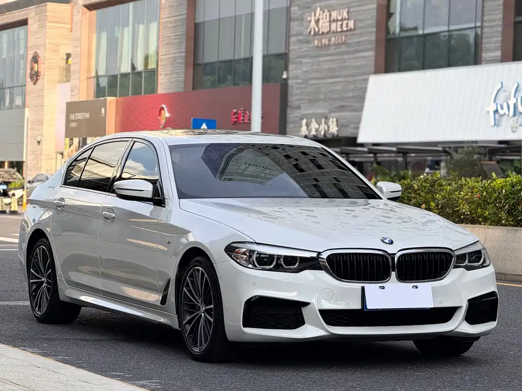 BMW 5 Series 2019