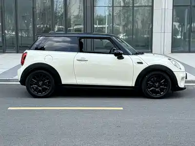 MINI MINI 2019