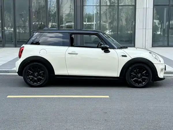 MINI 2019