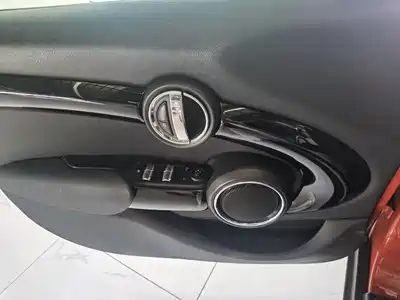 MINI MINI 2019