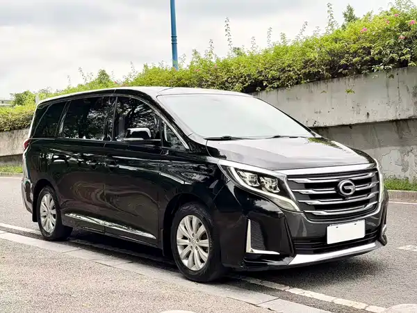 GAC Trumpchi M8 2020