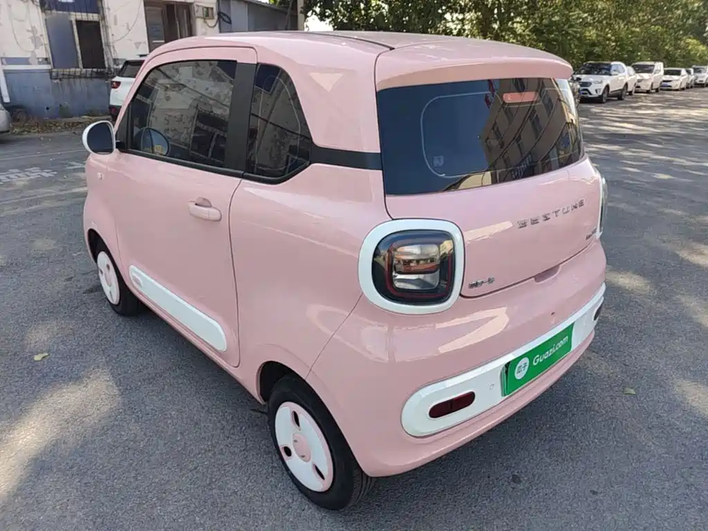 Bestune Pony 2024