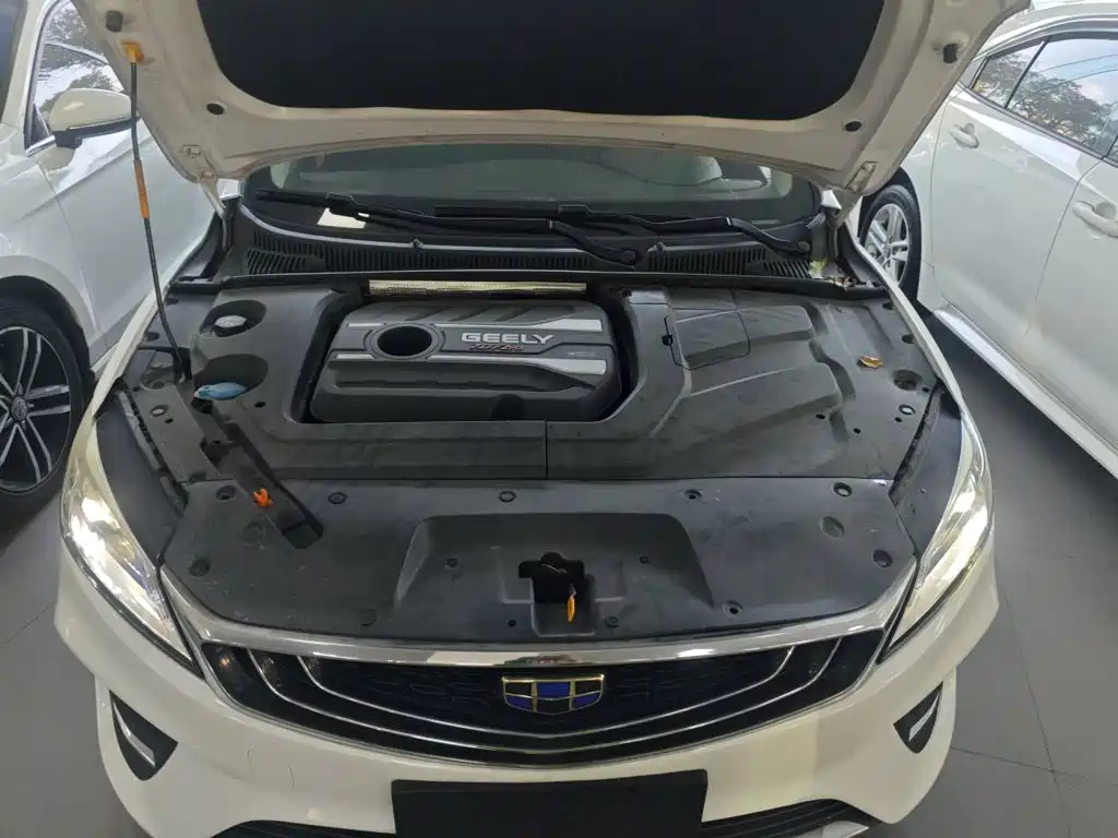 Geely Binrui 2019 — фото 16