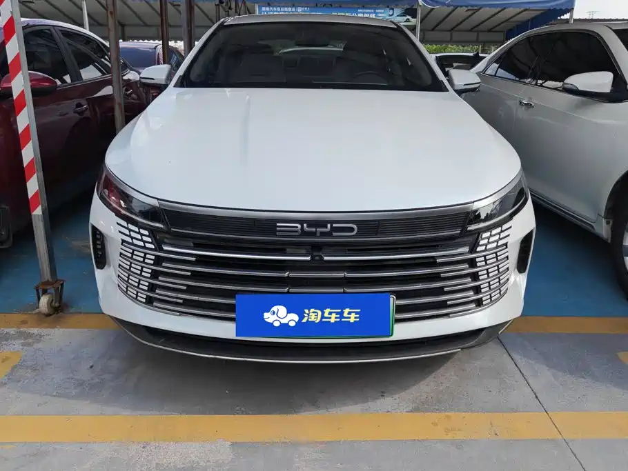 BYD Destroyer 05 2022 — фото 2
