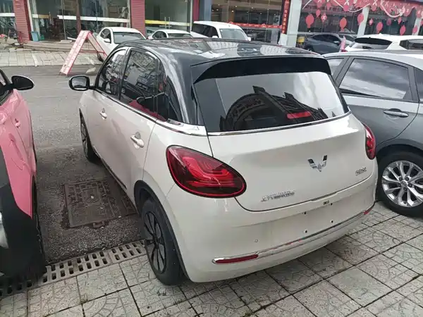Wuling Bingo 2024