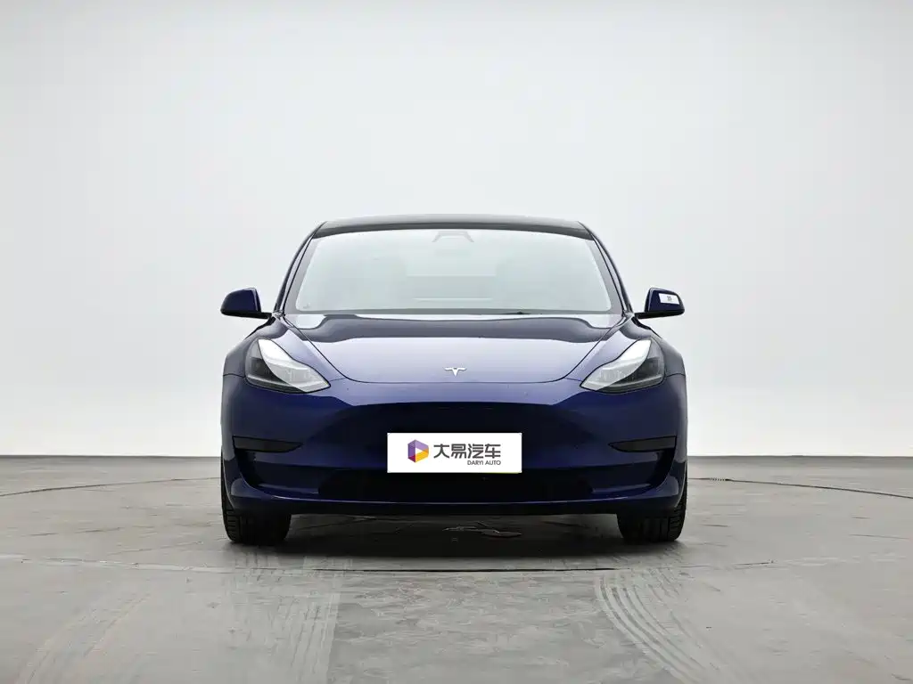 Tesla Model 3 2021 — фото 2
