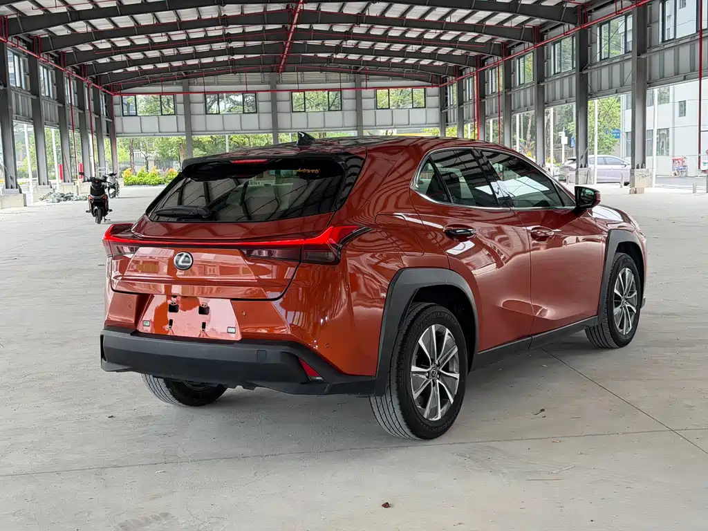 Lexus UX New Energy 2020 — фото 13