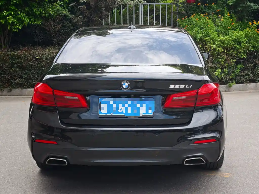 BMW 5 Series 2018 — фото 9