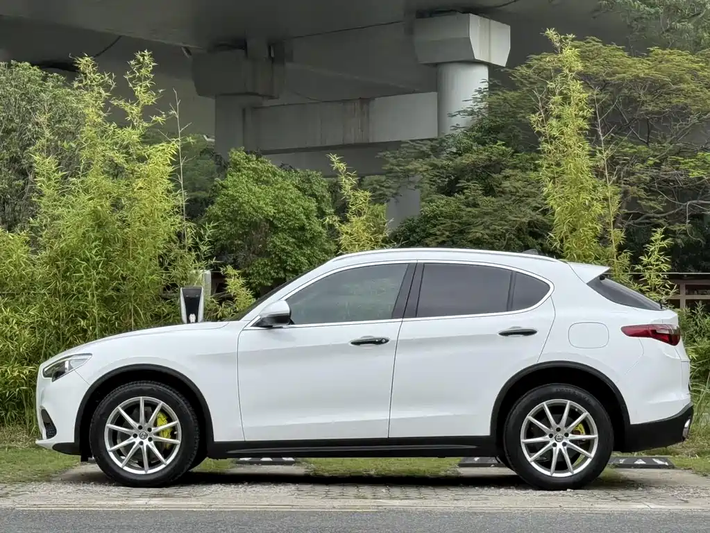 Alfa Romeo Stelvio 2018 — фото 6