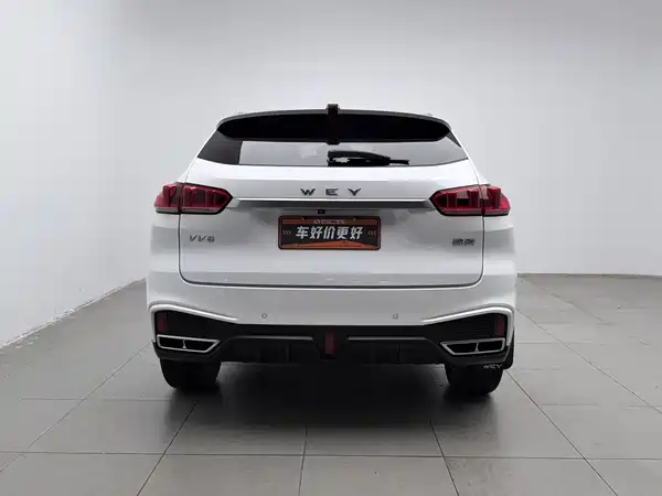 Wey VV5 2021