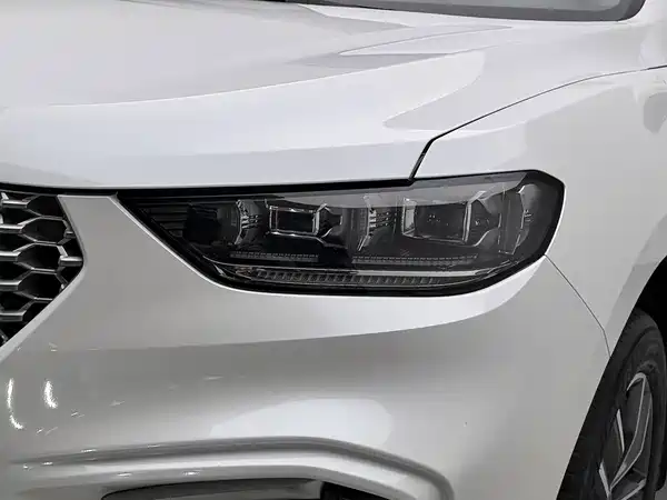 Wey VV5 2021