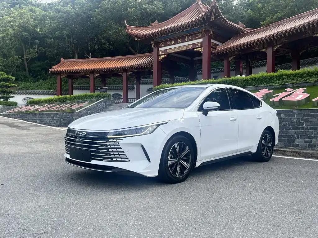 BYD Destroyer 05 2023 — фото 1