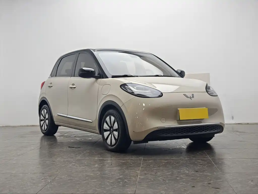 Wuling Bingo 2024