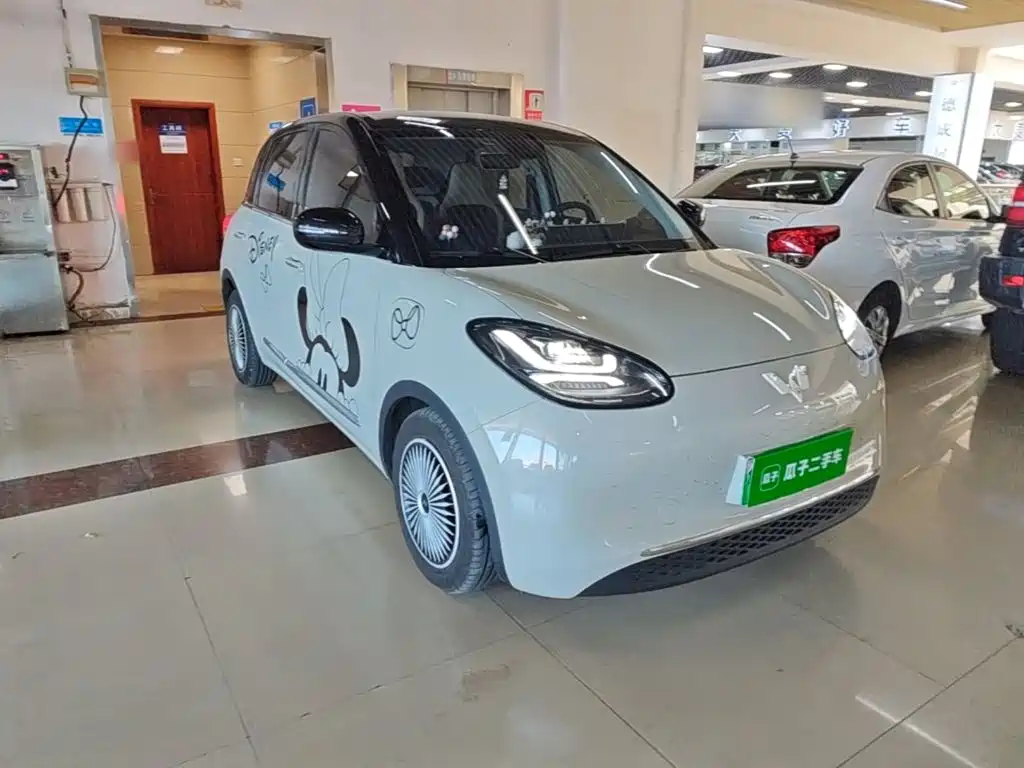 Wuling Bingo 2024